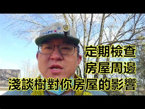 房子旁邊有樹|當心！屋外有這棵樹，禍事就快來了！